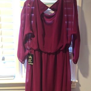 EXPRESS dress